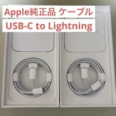 iPhone Apple ライトニングケーブル 純正品 正規品 充電器 2本