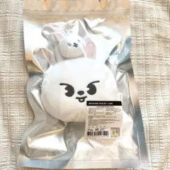 Stray Kids SKZOO パスケース Leebit ポップアップ