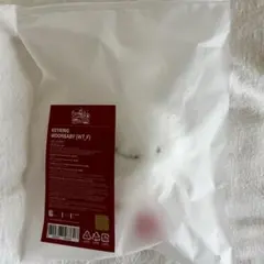 BBNEXDO プネクド キーリング ウンアギ WOONBABY