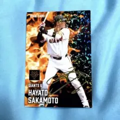 たかはー様 リクエスト 2点 まとめ商品