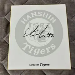 ぜ*ぇ様 佐藤輝明 阪神タイガース非売品直筆サイン色紙 佐藤選手が