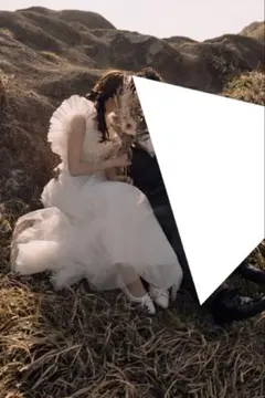 ウェディングドレス 白 花刺繍 Aライン