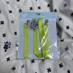 ディズニー　ネックストラップ ミセス　夏　ディズニーランド　tシャツ