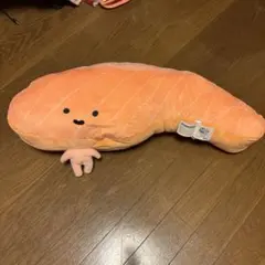 2025年最新】KIRIMIちゃん big ぬいぐるみの人気アイテム - メルカリ
