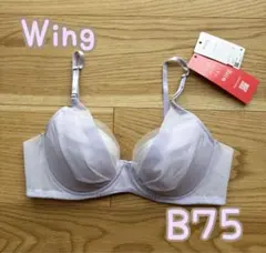 Item thumbnail for item 8e904f71-bbf4-44be-8593-e87da976f3cc