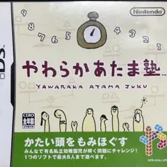 【お買得セット販売】DS大人の常識力トレーニング&やわらかあたま塾_動作確認済み