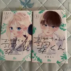 お姉ちゃんの翠くん 2巻と3巻セット