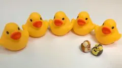 アヒル 7点セット
