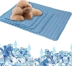 Item thumbnail for item 7e440ce4-0114-4ee7-ba4a-f30968fa9a63