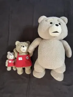 ted ぬいぐるみ 3体セット