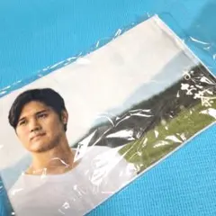 Item thumbnail for item b5f5561a-5c69-4236-80a3-c73d6338f740