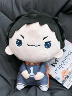 ハイキュー‼︎ もちぴこぬいぐるみ 澤村大地