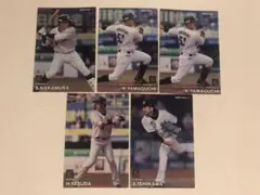 千葉ロッテマリーンズ　選手カードセット　プロ野球チップス　2023