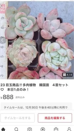 ともちゃん☆プロフ必読願います☆様 リクエスト 3点 まとめ商品