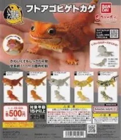 いきもの大図鑑レプティ　フトアゴヒゲトカゲ　コンプ