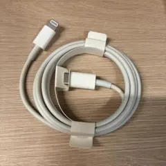 Apple純正 iPhone Lightningケーブル タイプC