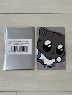 TXT プルバトゥ ダゴニャン トレカ テヒョン 特典