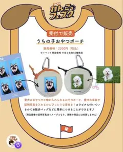 Item thumbnail for item aba1cf78-5033-4aee-805a-c1eb213fdaaa