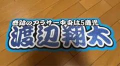 Item thumbnail for item c3edfe2f-4f17-4cbc-b9be-9956a6d09012