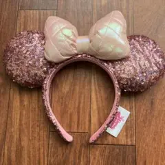 ミニーちゃん　カチューシャ　パルパルーザ2024