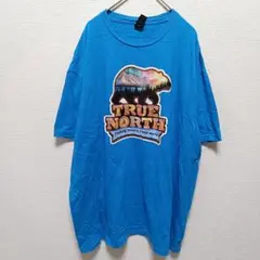 ❤ギルダン クマ山オーロラ柄 半袖Tシャツ ビッグサイズ 青 綿 旅行のサムネイル