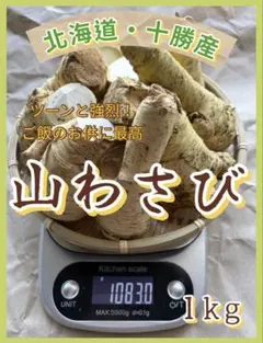 ⑱北海道産 天然山わさび 食用or植え付け用種根どちらでもOK 1kg以上のサムネイル