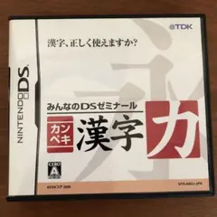 カンペキ漢字力 みんなのDSゼミナール