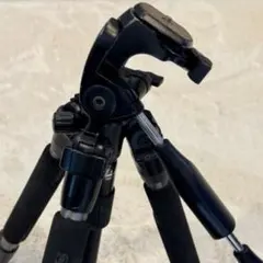 Item thumbnail for item df97371f-eea0-47fa-8c4e-8aa4f7fd8428