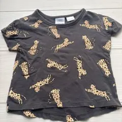 ZARA Tシャツ　74cmのサムネイル