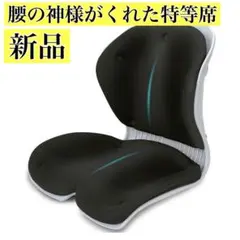 腰の神様がくれた特等席】 姿勢矯正 椅子 骨盤サポート高背 超厚