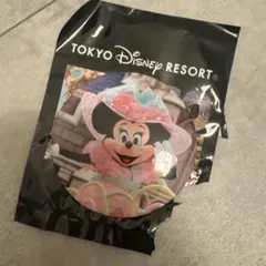 ディズニー ミニー 缶バッジ アンコールザモーメンツ
