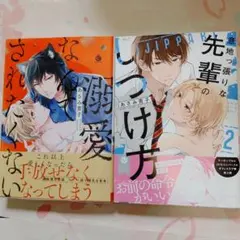気になってる人が男じゃなかった VOL.2 新井すみこ 直筆サイン本 未