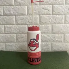Hydro Flask ヤクルト ハイドロフラスク 水筒 つば九郎 - メルカリ