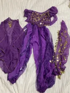 ベリーダンス 衣装 紫 セット コスプレ ハロウィン 仮装
