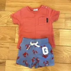 baby GAP 3-6ヶ月 ショートパンツセット