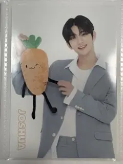 SEVENTEEN JOSHUA トレカ