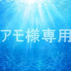 アモ様 リクエスト 3点 まとめ商品