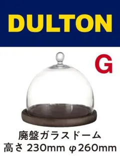 2026年最新】Dulton ダルトン グラスドームの人気アイテム - メルカリ