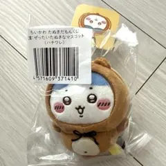 ちいかわ たぬきだもんくじ C賞 ハチワレ