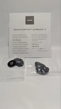 Bose QuietComfort Earbuds II 交換用イヤーピース