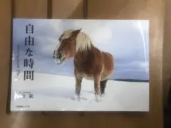 自由な時間 Amazing Japan_Photo