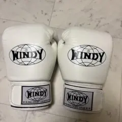 Winning windy isami キックボクシング k1 グローブ - メルカリ