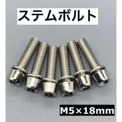 스템 볼트 6개 M5 x 18mm 실버