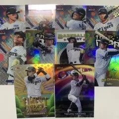 Item thumbnail for item 28520d8d-eb69-42fd-9964-ace2430b24a8