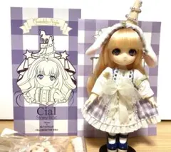 オビツショップ完成品ドールTwinkle Sign Cial(シアル)完売品