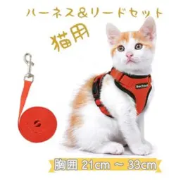ハーネスリードセット胴体抜けない猫用小型犬用XSサイズ赤レッド