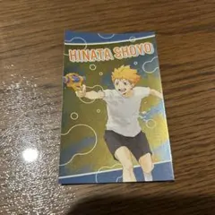 ハイキュー メタルカードコレクション 水遊び 日向翔陽