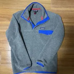 パタゴニアスナップT