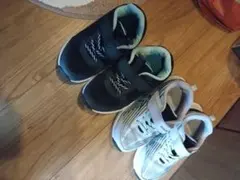 Item thumbnail for item 68a65b2e-24b8-4543-802b-e7dc17e8e5d2