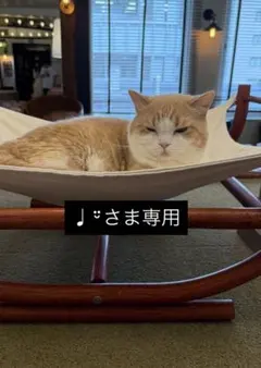 【♩¨̮さま専用】